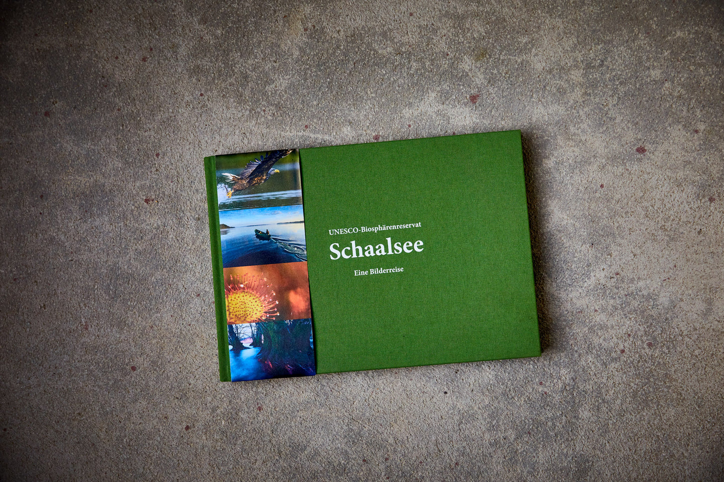 Schaalsee Buch
