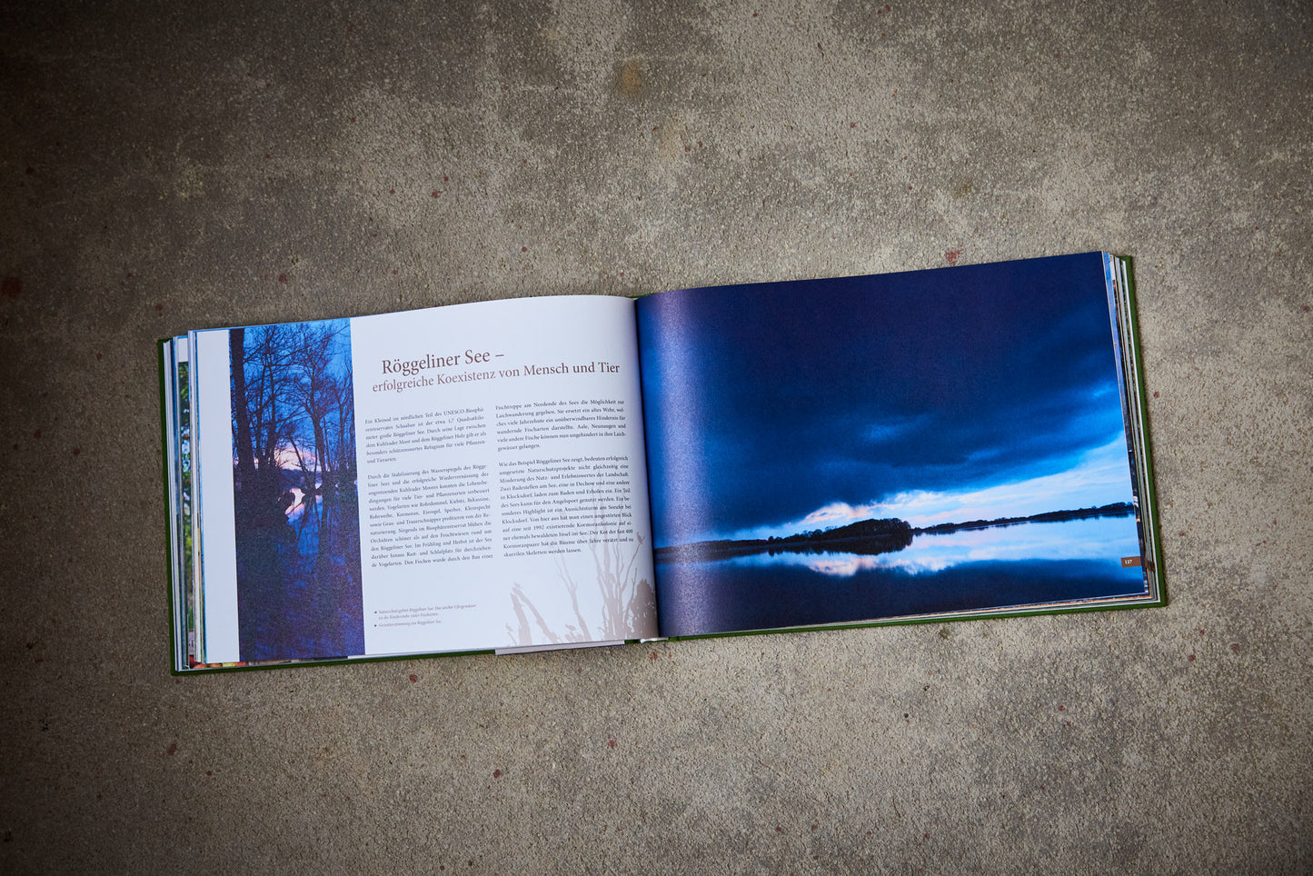 Schaalsee Buch